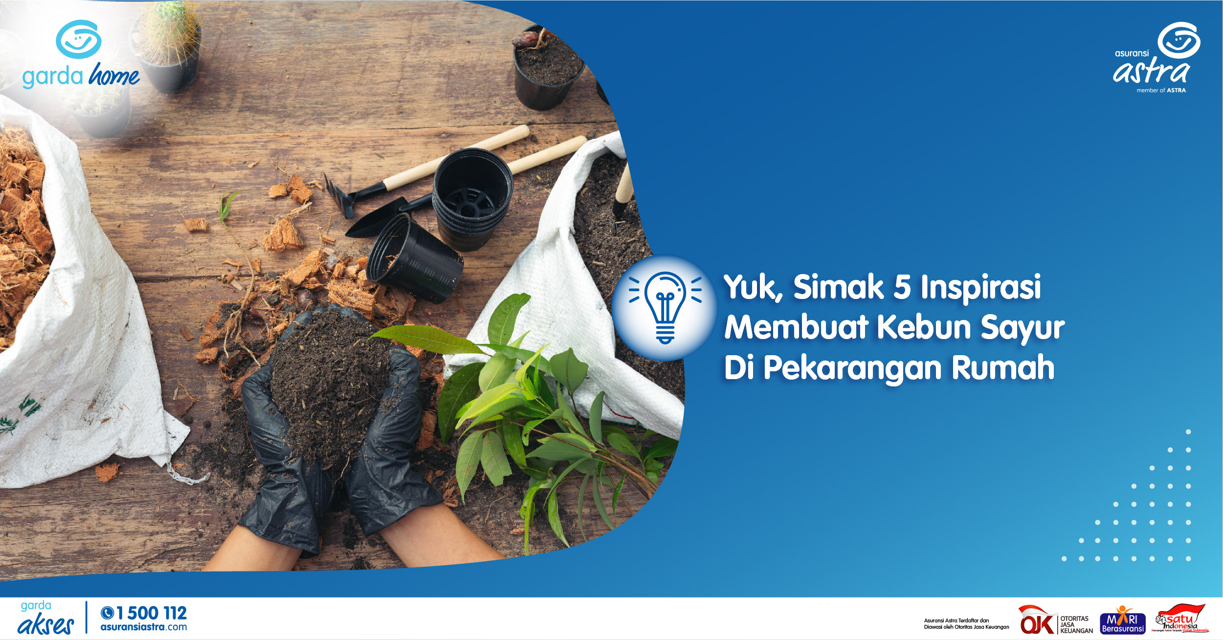 Yuk Simak 5 Inspirasi Membuat Kebun Sayur Di Pekarangan Rumah